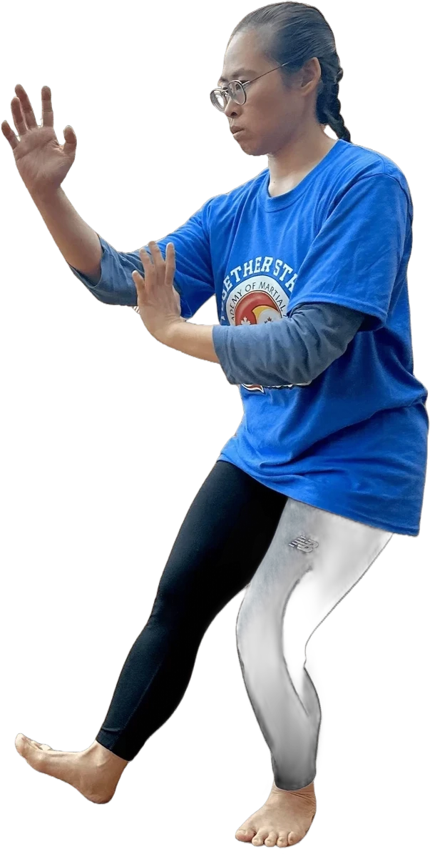 Adult Tai Chi (13+) class